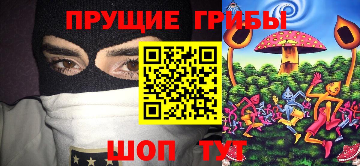 Псилоцибиновые грибы Psilocybine cubensis  Галлюциногенные грибы прущие грибы  Вход с VPN  Волхов 